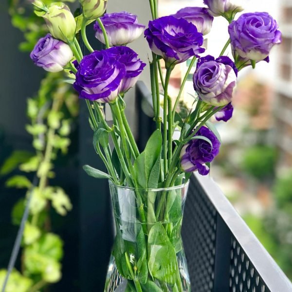 pexels-marianna-ole-757889